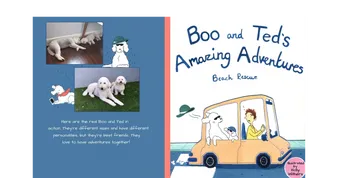 boo and ted amazing adventures beach rescue